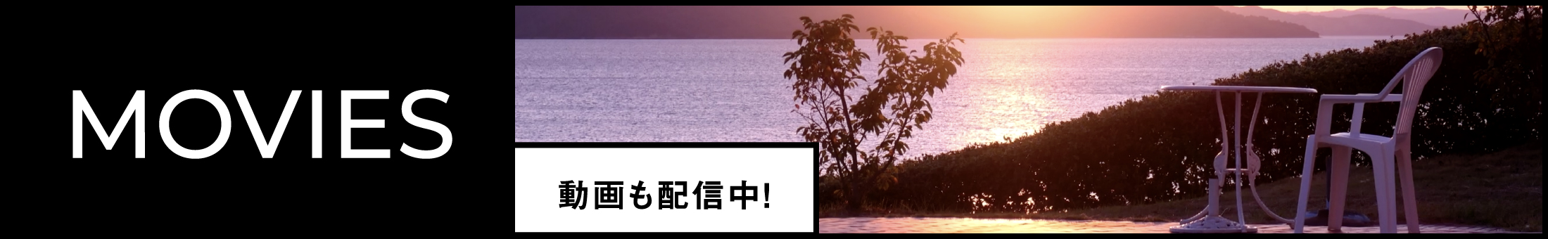 動画も配信中