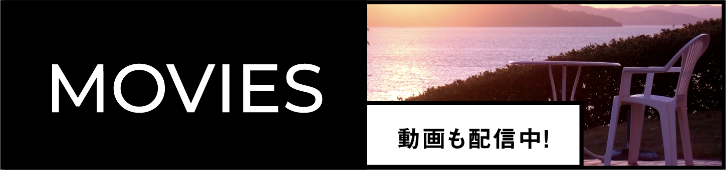 動画も配信中